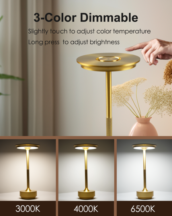 Zeyork Cordless Table Lamp - Image 4
